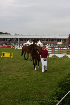 Bild 137 - Elmshorn am 9.6.10